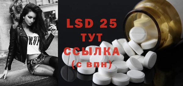ГАЛЛЮЦИНОГЕННЫЕ ГРИБЫ Наволоки